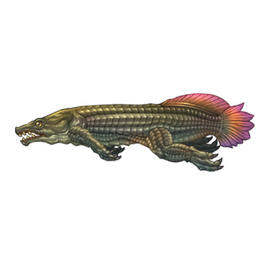 Alligator Pirarucu