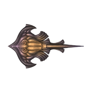 Anchor Ray