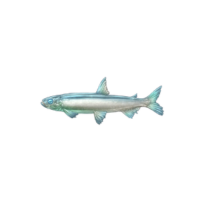 Frostbite Smelt