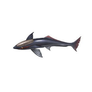 Great Stealth Remora