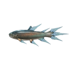 Icicle Trout