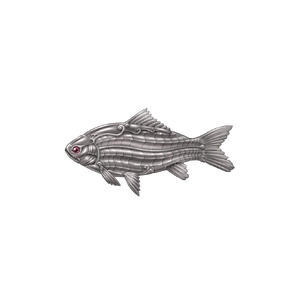 Ironcarp