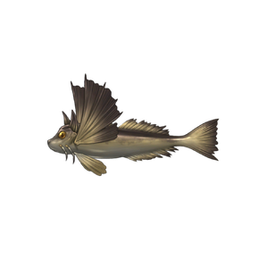 Mewing Gurnard