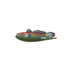 Sand Goby