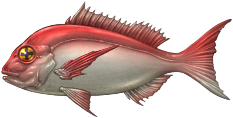 Wheel-Eye Bream